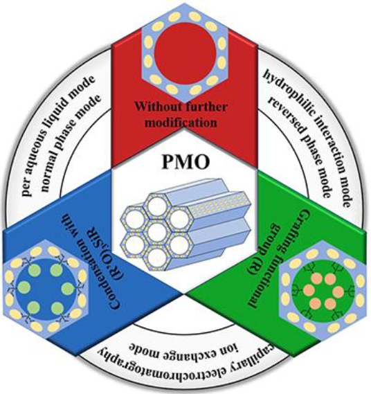 (HO)2-PO-S-C16/(CH2)10/-OH/COOH/NHS