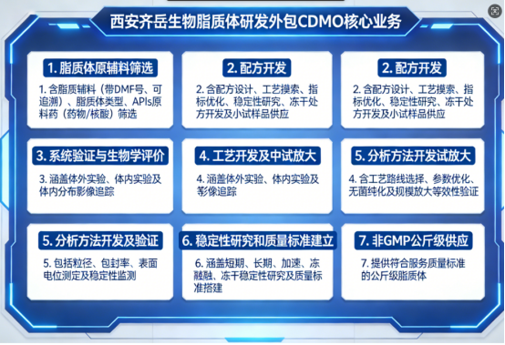 荧光脂质体质量研究与分析方法开发CDMO业务