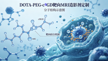 DOTA-PEG-cRGD靶向MRI造影剂定制