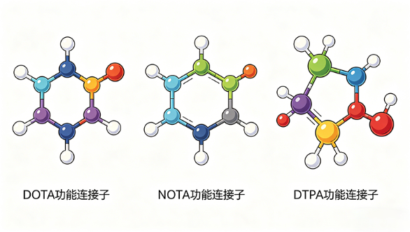 DOTA / NOTA / DTPA功能连接子定制 DOTA / NOTA / DTPA功能连接子定制