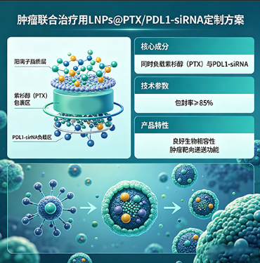 肿瘤联合*用LNPs@PTX/PDL1-siRNA定制