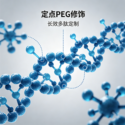 定点PEG修饰长效多肽定制