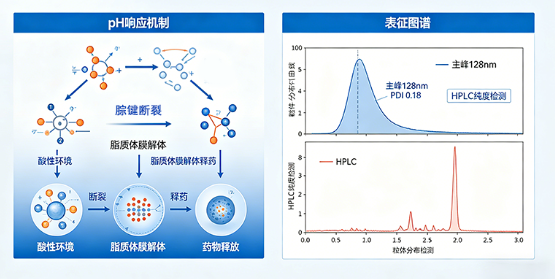 pH响应型核酸递送脂质体定制（科研用途）