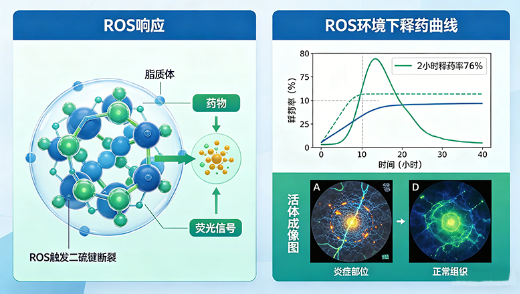 ROS响应型炎症靶向脂质体定制（药企研发）