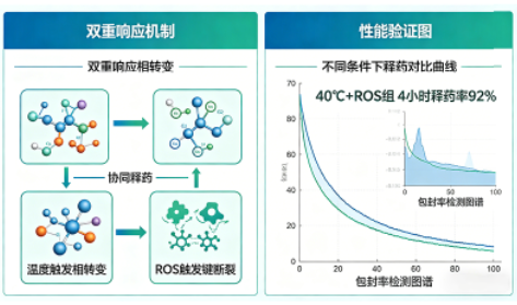 温度-ROS双重响应脂质体定制（临床前研发）