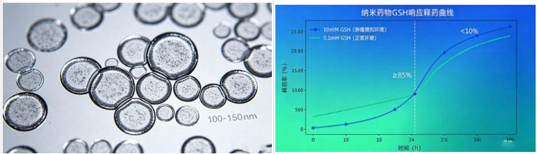 氧化还原响应型阿霉素前体药物定制