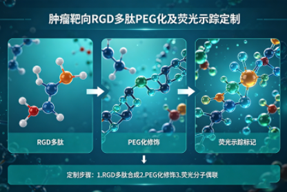 肿瘤靶向RGD多肽PEG化+荧光示踪定制