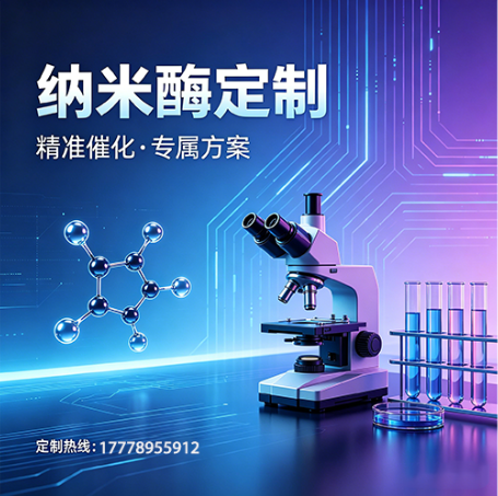 纳米酶定制服务手册