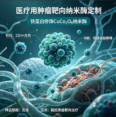 医疗用肿瘤靶向纳米酶定制（药企合作）