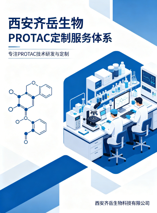 PROTAC定制服务体系