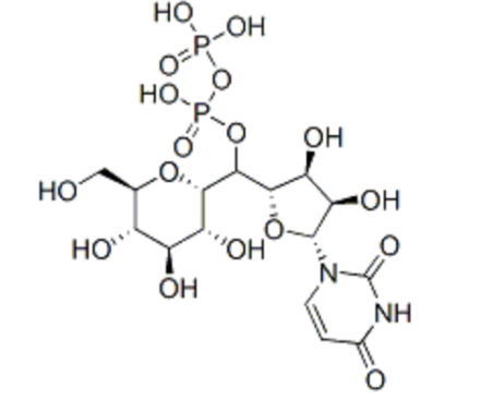 UDP-葡萄糖，cas:133-89-1, UDP glucuronic acid, UDP-glucose, 一种核苷酸糖
