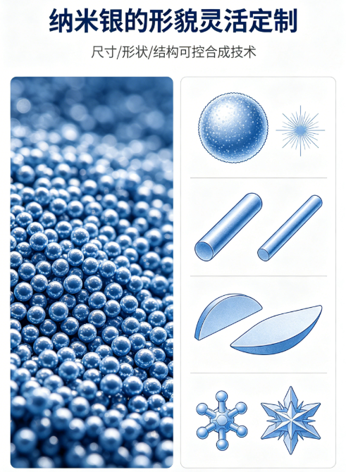 纳米银定制服务｜支持粒径、形貌及表面功能化灵活调控
