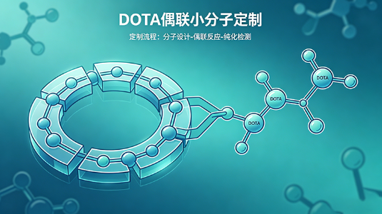 DOTA 偶联小分子定制服务商：齐岳生物｜靶向标记 / 诊疗探针定制方案