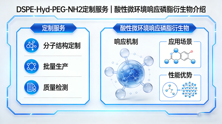 DSPE-Hyd-PEG-NH2定制服务|酸性微环境响应磷脂衍生物介绍