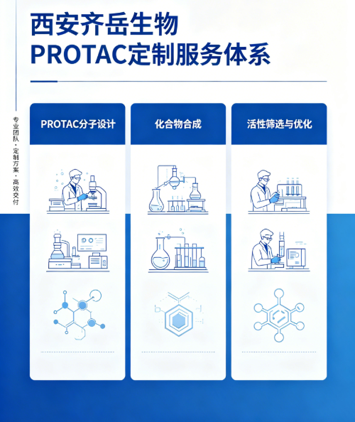 PROTAC定制｜靶向蛋白降解分子设计方案