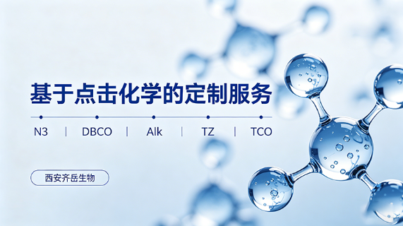 基于点击化学的定制(N3,DBCO,Alk,TZ,TCO)西安齐岳生物