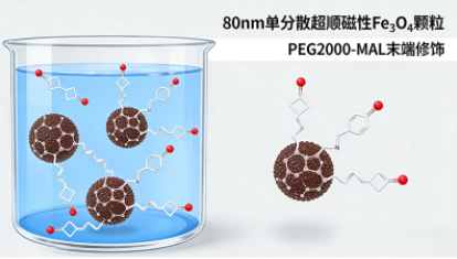 PEG修饰磁性纳米颗粒（Fe₃O₄）定制