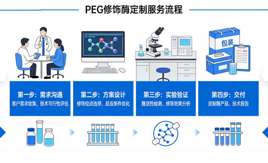 PEG 修饰酶是什么?PEG 化酶定制服务及应用详解