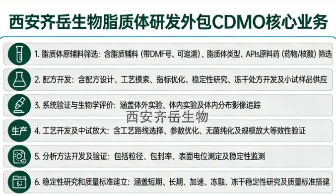 脂质体研发外包CDMO业务--西安齐岳生物提供