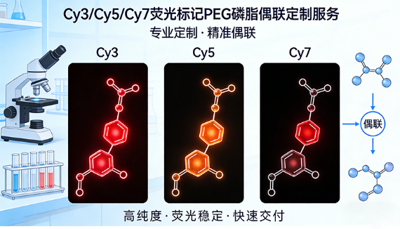 Cy3/Cy5/Cy7荧光标记PEG磷脂偶联定制服务