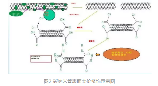 提供碳纳米管的功能化修饰（功能性基团、蛋白、多肽、多糖）定制技术