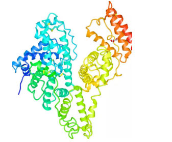 提供30多种蛋白的功能化修饰（荧光标记、基团改性以及聚合物或者共聚物偶连技术）