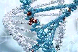 DSPE-PEG-Anti-CD44（二硬脂酰基磷脂酰乙醇胺-聚乙二醇-靶向蛋白，磷脂-聚乙二醇-多肽）