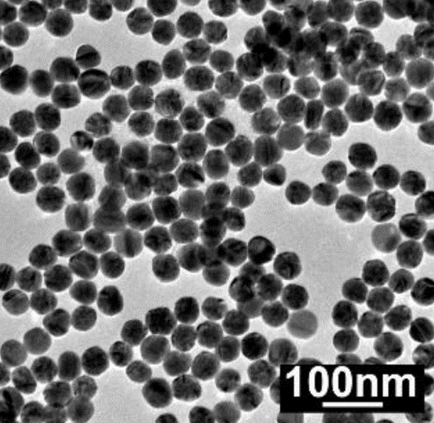 温敏材料包无机纳米材料定制服务-西安齐岳生物提供