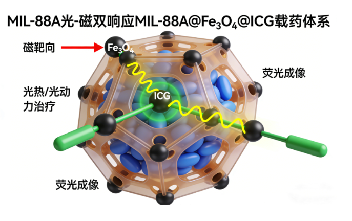 多刺激响应型MOF纳米载体载药定制合成技术服务(西安齐岳生物提供)