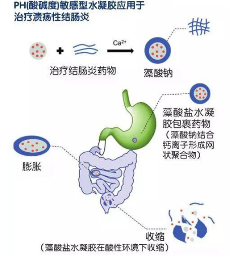 帮助你具体了解水凝胶