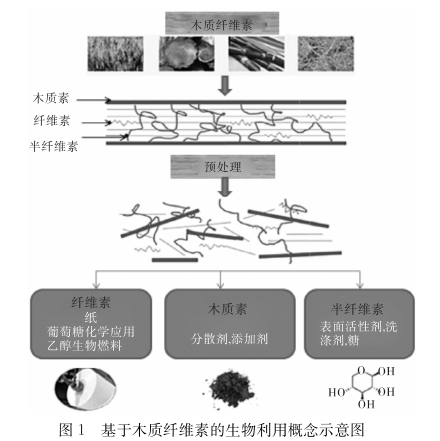 木质纤维素的生物利用理念（供应纤维水凝胶定制服务）