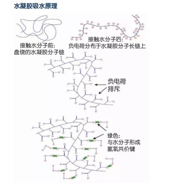 聚合物和凝胶的区别，水凝胶的吸水原理