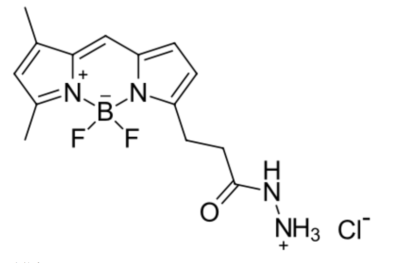BDP R6G hydrazide|一种硼二吡咯亚甲基染料|bodipy荧光染料激发波长