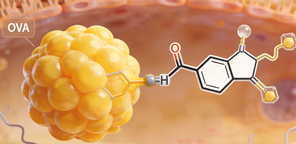 蛋白修饰偶联定制合成服务-西安齐岳生物提供