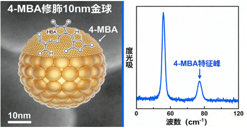 纳米金定制合成技术及案例展示（西安齐岳生物分享）
