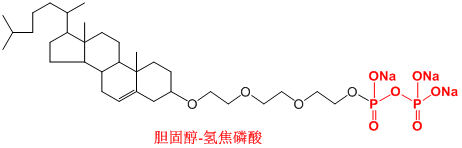 骨靶向修饰（氢焦磷酸修饰/小分子磷酸修饰）各种纳米载体材料