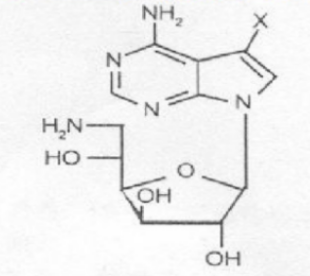 ​常见多种单糖及其衍生物的化学修饰位点（定制合成）