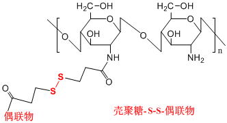 糖类二硫键偶联物定制产品（透明质酸/葡聚糖/壳聚糖-S-S-偶联物）