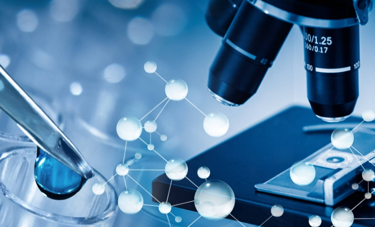 双囊泡脂质体定制合成技术分享-西安齐岳生物