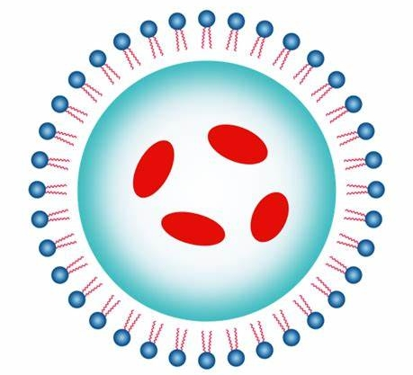 CPP-Doxorubicin：多柔比星修饰细胞穿膜肽定制合成技术-西安齐岳生物