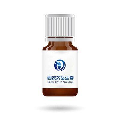 DBCO-PEG-NHS（二苯并环辛炔-聚乙二醇-活性酯）定制技术