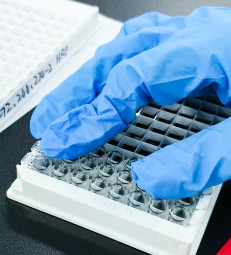 ​西安齐岳生物提供聚乙二醇前药定制合成技术