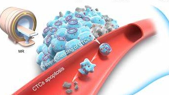 有机小分子偶联修饰黑磷纳米片定制技术