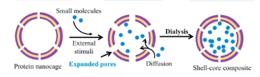 叶酸-药物靶向偶联物定制技术 Folic Acid–Drug Conjugate Targeted Delivery Customization