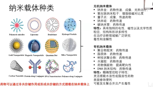 药物氨基 / 羧基 / 羟基化改性技术