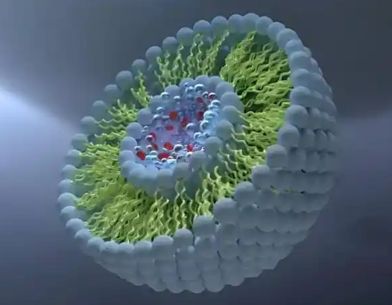 二氧化硅包裹聚苯乙烯磁珠定制服务 Silica-coated Polystyrene Magnetic Beads