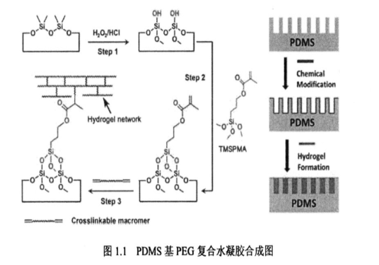 PDMS基PEG复合水凝胶合成图，如何增加PDMS亲水性、减少非特异性蛋白质污垢