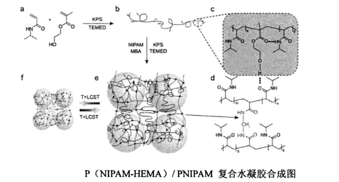 P(NIPAM-HEMA)/PNIPAM互穿网络复合水凝胶合成图，与 PNIPAM凝胶比较优缺点