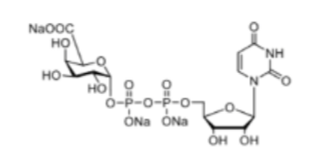 UDP-GalA; CAS:148407-07-2; 尿苷5′-二磷酸三钠盐二钠盐；齐岳生物UDP糖试剂推荐