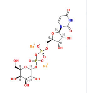 UDP糖| cas：137868-52-1, cas：2956-16-3，UDP-galactose，UDP-Ga，UDP-Α-D半乳糖二钠盐